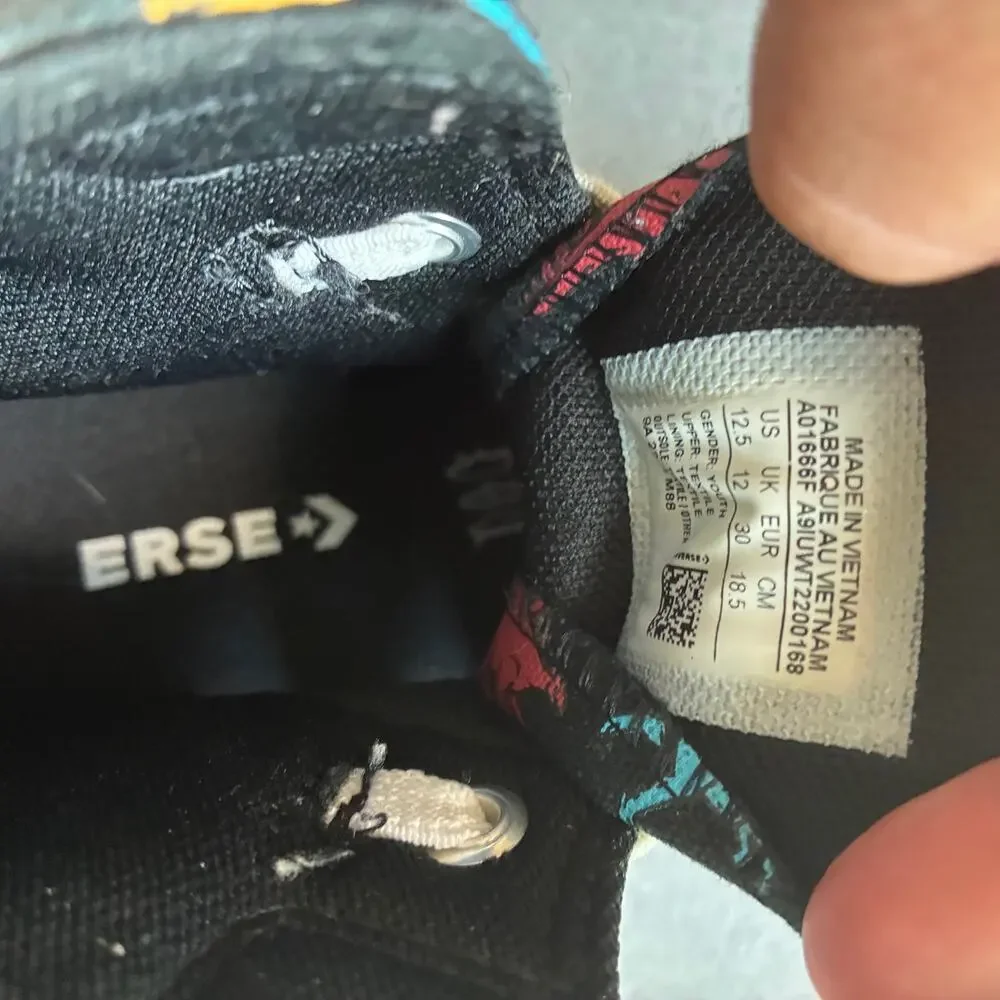 Converse Dinosaur Chuck Taylor Sneakers